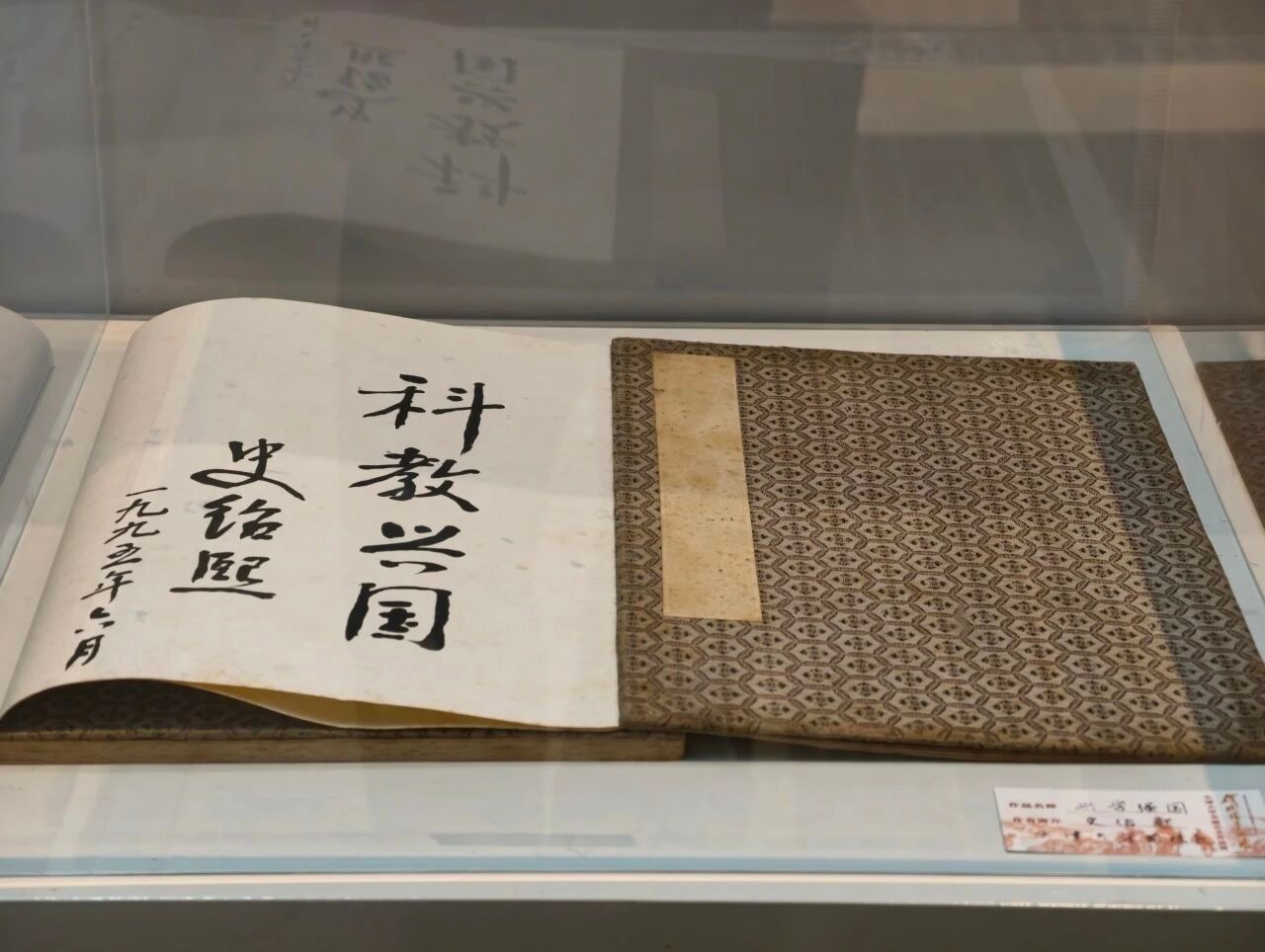 日本无码a片